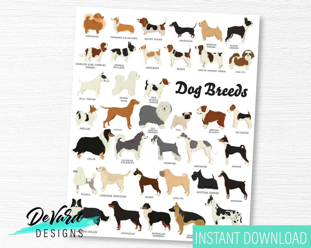 Dog Breed Wall Art Instant Download Puppy Wall Sign Classroom
