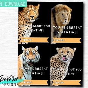 Wildkatzen Valentinstagskarten - 4er-Set Karten - Klassenzimmer Schulaktivität - Dschungel Safari Tiger Löwe Gepard Leapard Pass-Out-Karten