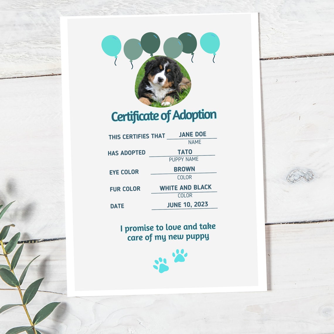 Pet Adoption Certificate, Puppy Adoption Template, Adoption Printable Card, Puppy Adoption ...