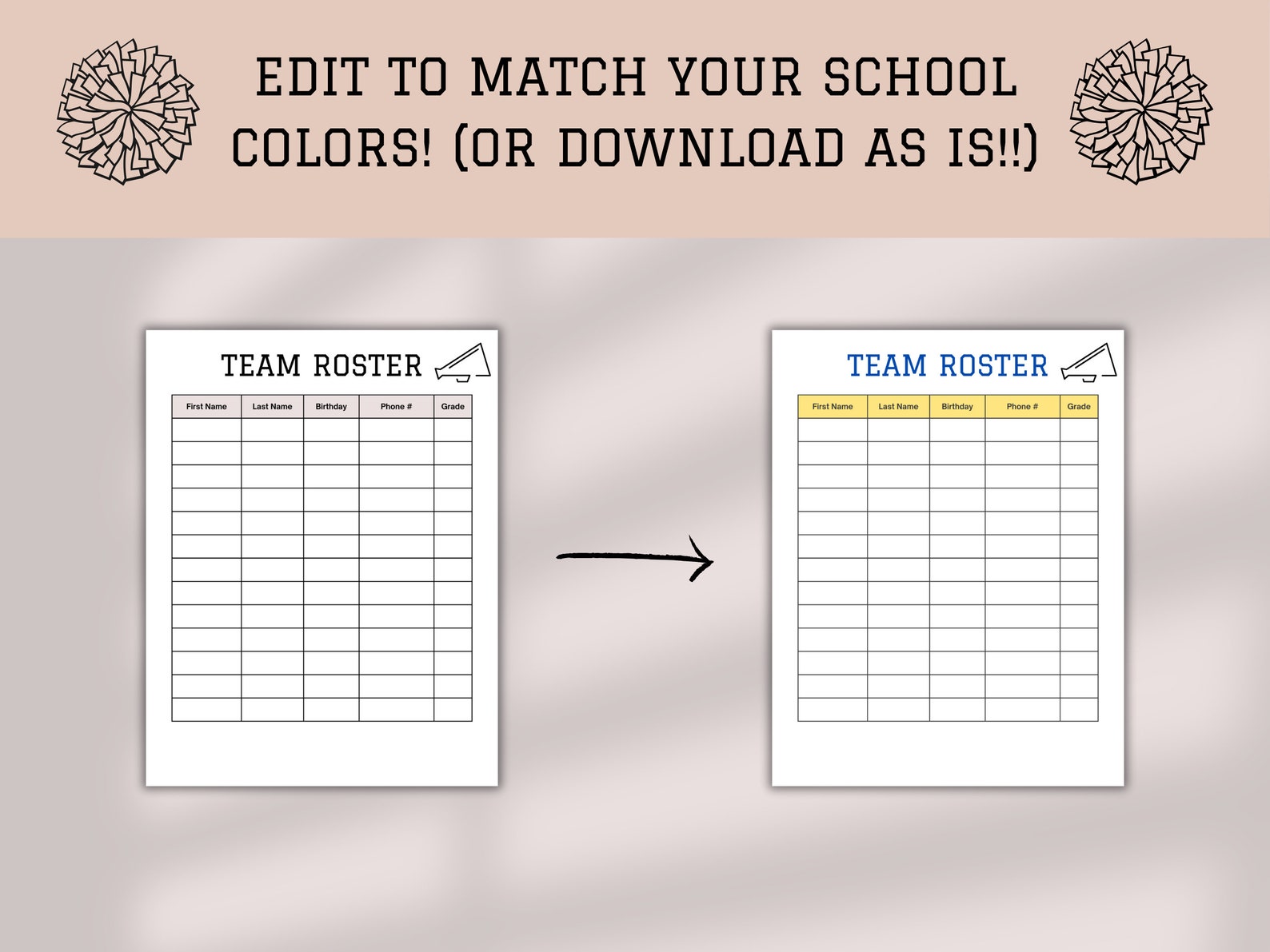 Editable Team Roster Template, Cheer Coach Planner, Printable - Etsy Canada