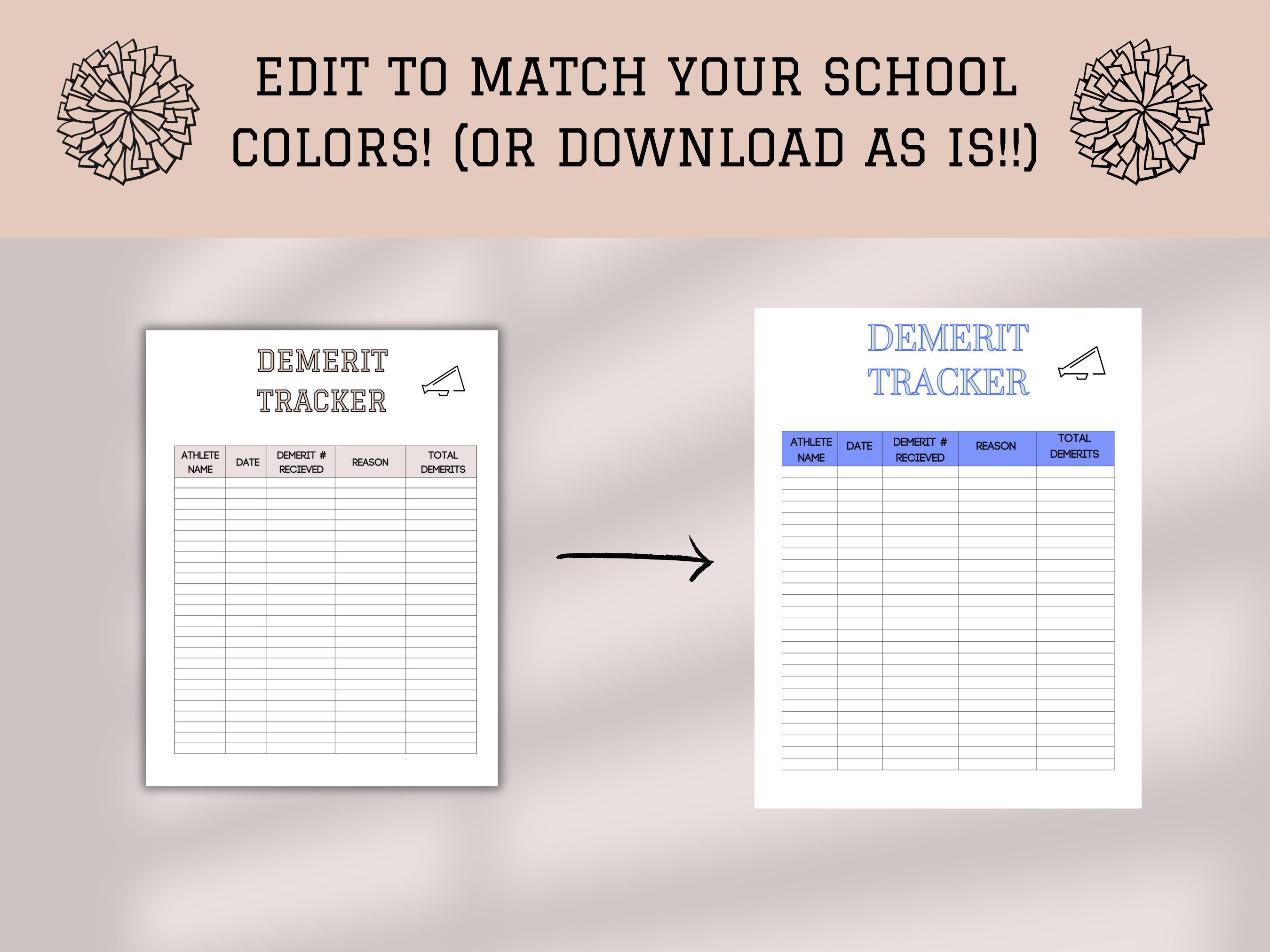 Editable Cheer Team Demerit Tracker Template, Cheer Coach Planner ...