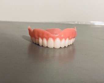 Office Display Upper Denture Premade