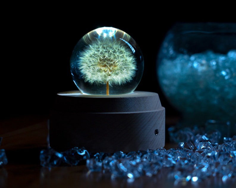 Mother's Dayeternal Flower Music Boxmusic Boxdandelion Etsy