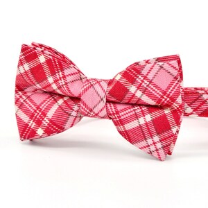 Puede incluir: Un collar para gato con una pajarita de cuadros rojos y rosas, una campanilla dorada y un abalorio de perla blanca.