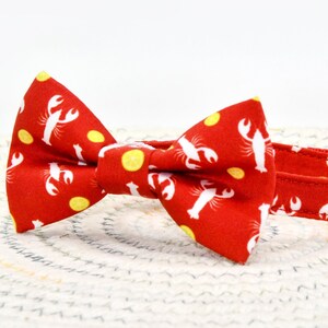 Collar de langosta con lazo para gato, collar dorado con dije, lazo de langosta para gato, collar rojo para gato y perro pequeño
