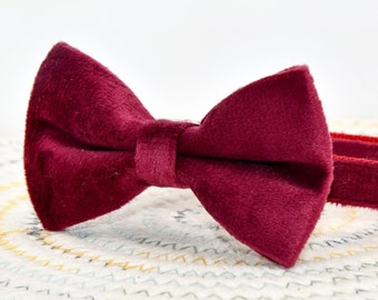 Burgundy Velvet Cat Collar Bow Tie with Bell, Kitten Puppy Collar