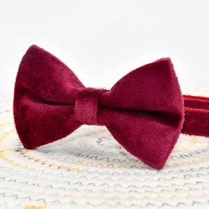 Burgundy Velvet Cat Collar Bow Tie, Wine Red Cat Collar with Charm, red Cat Bow Tie, Velvet Collar for Cat+Small Dog Size, Kitten Collar