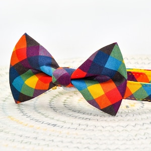 May include: A colorful plaid bow tie cat collar with a bell and a blue charm. The collar is yellow, red, orange, blue, green, and purple.