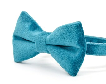 Cyan Velvet Cat Collar Bow Tie Set, Pearl Bell, Kitten Puppy Sizes