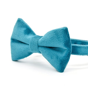 Conjunto de collar y pajarita de terciopelo cian para gato, collar y pajarita a juego para gato con cascabel y perla + tamaños para perros pequeños