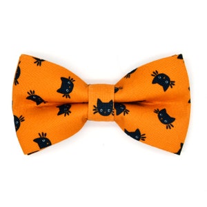 May include: Orange bow tie with a black cat pattern.