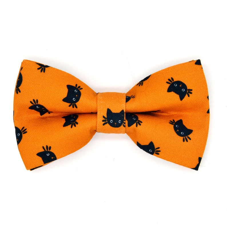 May include: Orange bow tie with a black cat pattern.