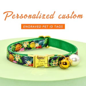 May include: A green and blue patterned cat collar with a gold buckle and a gold tag engraved with "Daisy 123-456-789". The collar also has a gold bell and a white pearl charm.