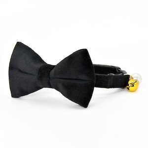 Conjunto de collar y pajarita de terciopelo negro para gato, collar y pajarita a juego con cascabel y perla para perros pequeños.
