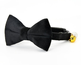 Black Velvet Cat Collar Bow Tie Set with Bell, Small Dog Sizes