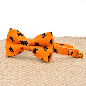 Aangepaste Halloween kattenhalsband, oranje halsband voor kat, Halloween kattencadeau + kleine hondenhalsband