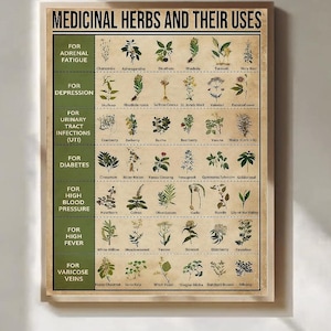 Medicinal Remedies Poster Botanical Reference Wall Art