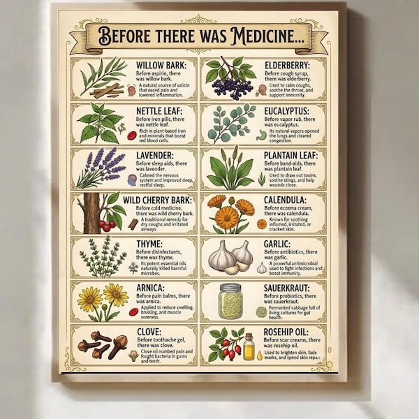 Medicinal Herbs Poster Vintage Botanical Wall Art For Kitchen Apothecary Decor