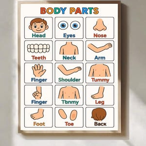 Body Parts Poster For Kids Educational Classroom Wall Art Print