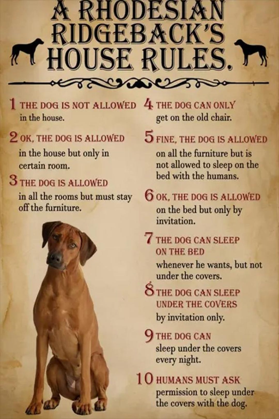 Vintage Rhodesian Ridgeback Poster Dog House Rules Wall Art - Etsy