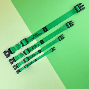 Green Personalized Dog Collar with Name Phone, Personalized Dog Collar, Custom Dog Collar with Name Tag, Green Dog Collar Gift, Silent Name