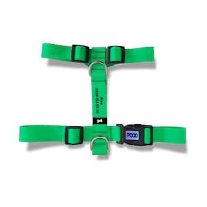 Green Personalized Dog Harness with Name Phone, Personalized Dog Harness, Custom Name Tag Dog Harness, Harness with name, Green Dog Harness