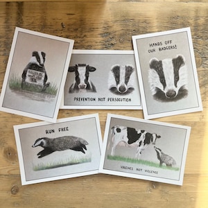 Ensemble de cartes postales Badger, Anti-Cull, Stop the Cull