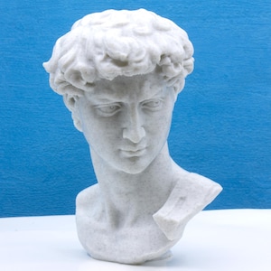 Bust of David sculpture by Michelangelo, classical art decorative piece of art, 3D printing