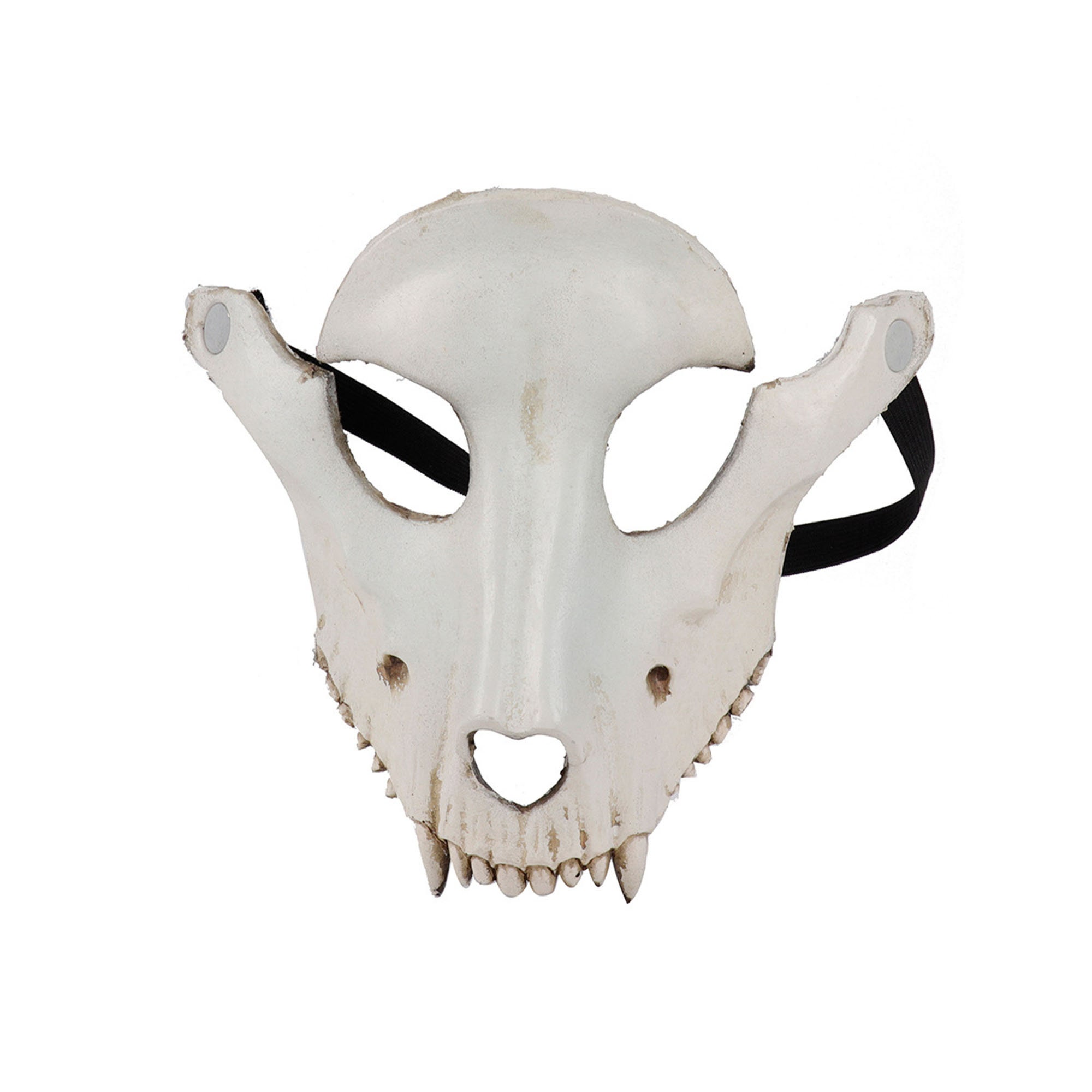 Animal Skull Masks
