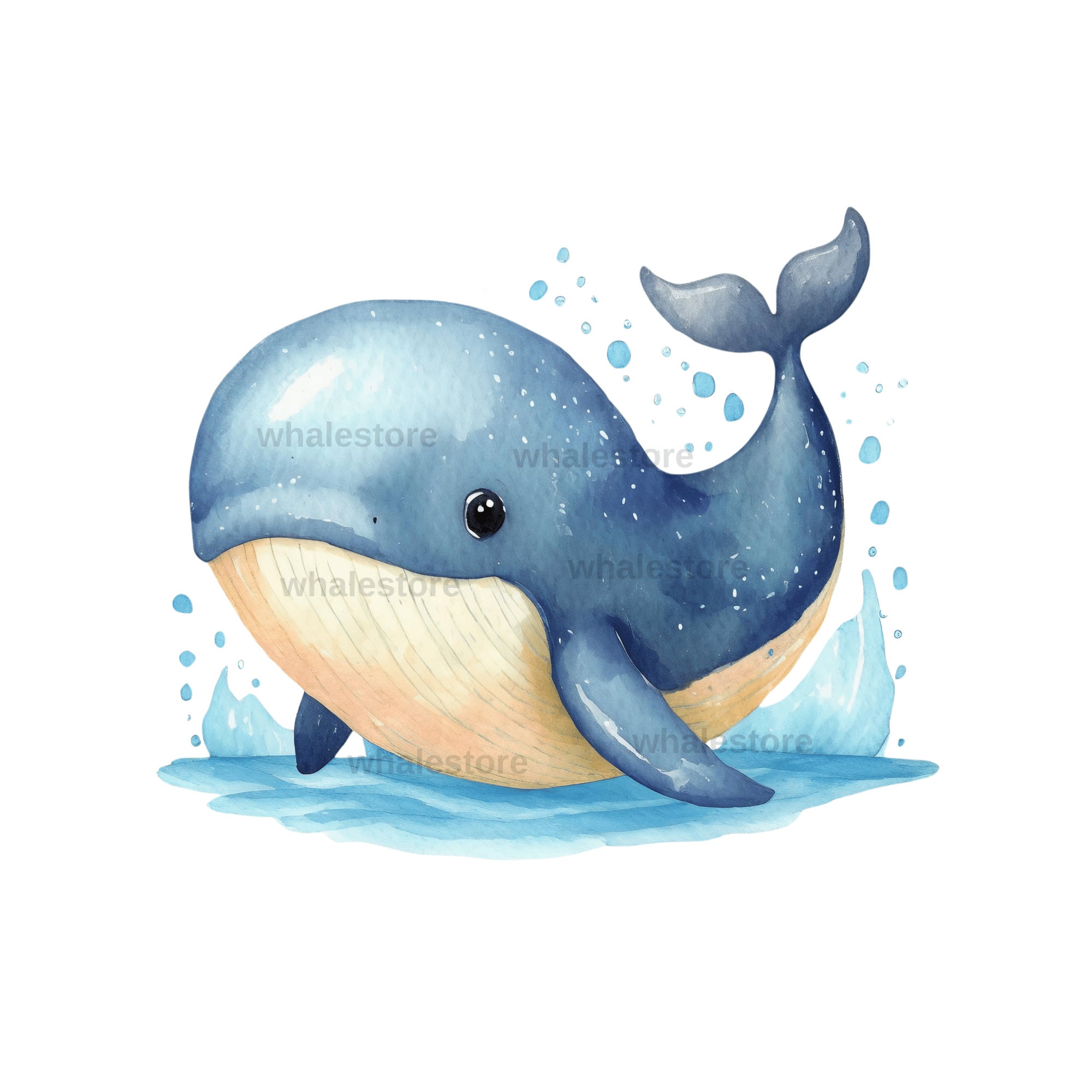 Cartoon Whale Clipart, Watercolor Illustration, PNG (digital Download) -  Etsy, image size:2000x2000