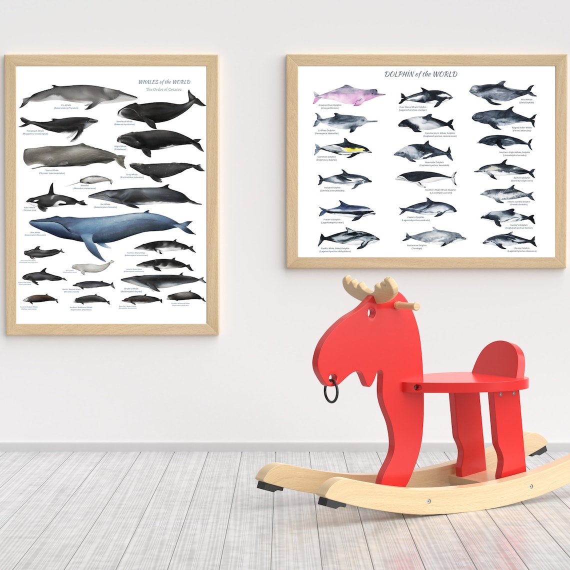 PRINTABLE Whales of the World Wall Art Educational Whale - Etsy