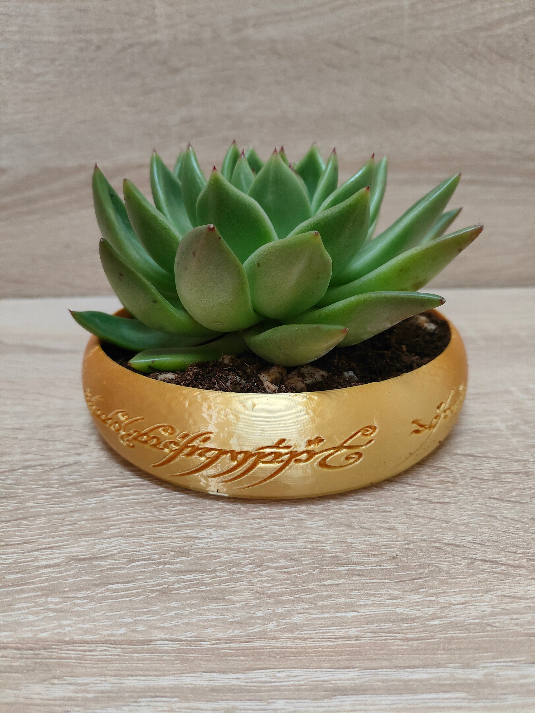 The One Ring Succulent Planter Lord of the Rings Gift LOTR Gandalf plant  pot