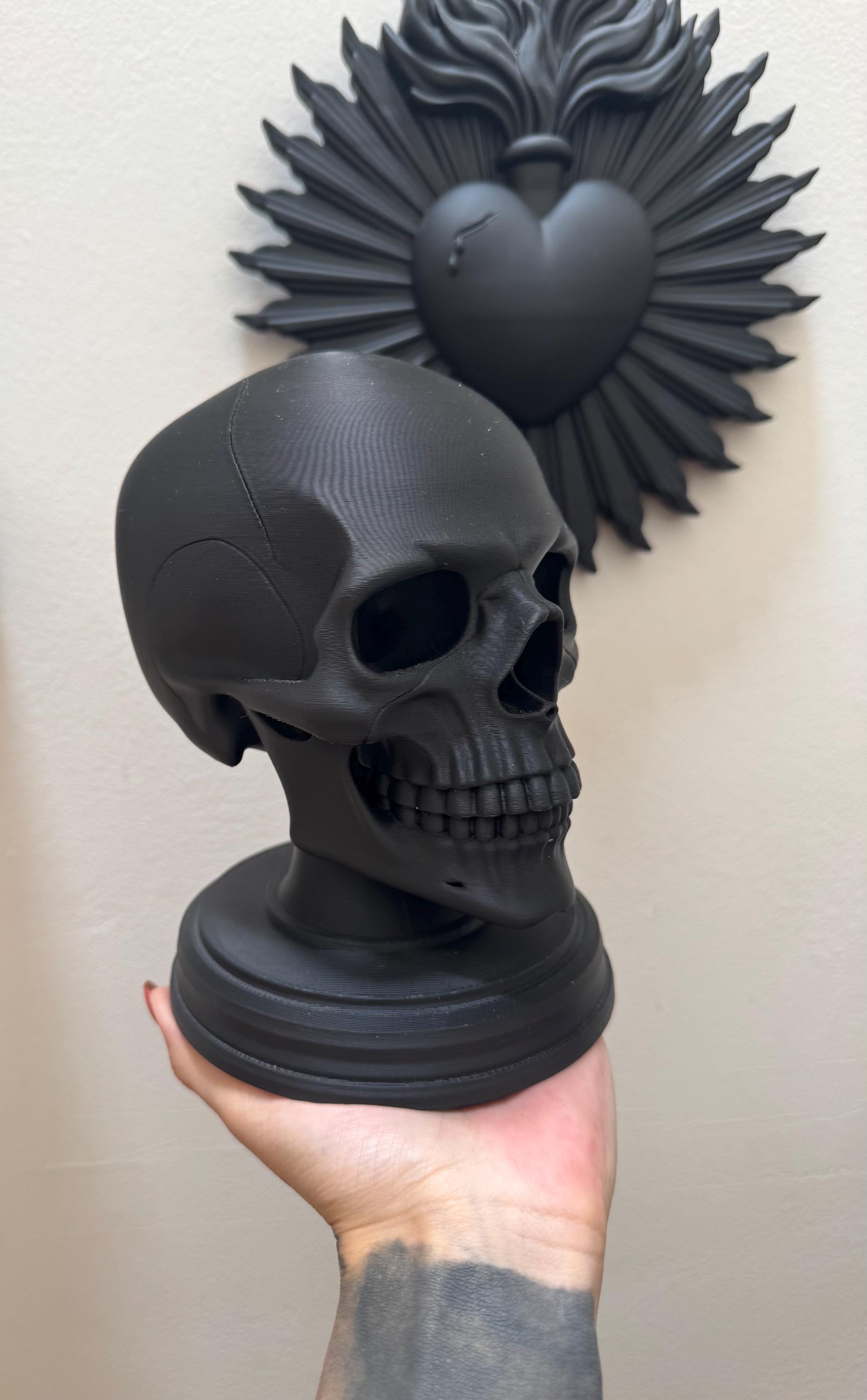Anatomical Skull Sculpture Gothic Decor Bust for Dark Academia Study Desk Curio Cabinet or Victorian Inspired Home Decoration