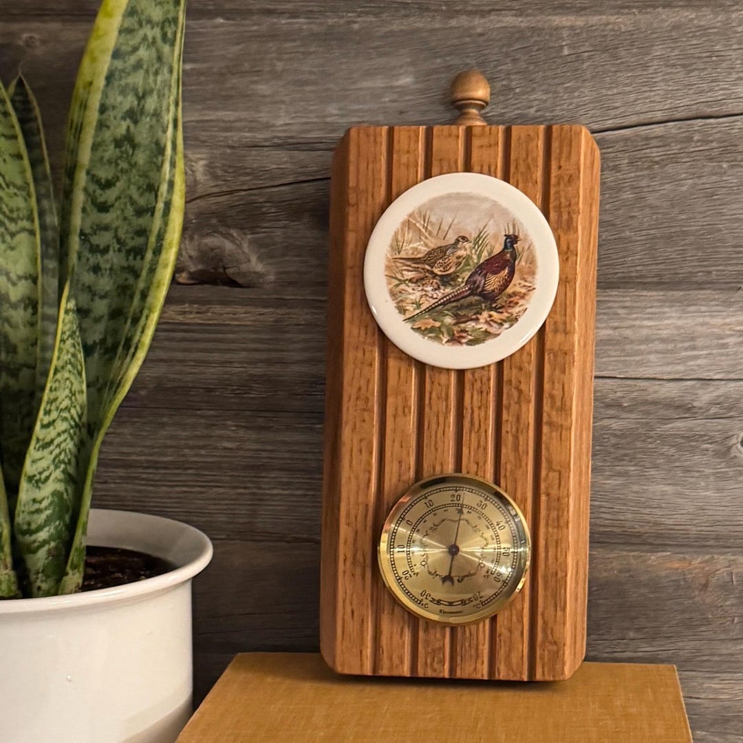 Vintage Wood Thermometer Wall Hanging: Hand-painted Bird Decor - Etsy