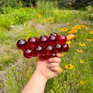 May include: A bunch of red glass grapes with a wooden stem, held against a blurred backdrop of green foliage and yellow flowers. The grapes are spherical and glossy, and the stem is light brown. The image suggests a decorative item.