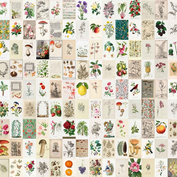 Kit de collage de pared botánica vintage 200 PCS, carteles de flores Cottagecore 4x6, kit de collage de fotos estético, impresiones digitales de naturaleza antigua