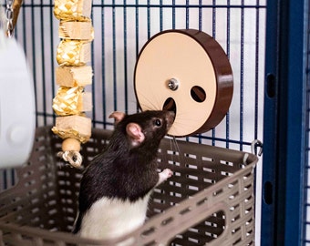 Naturalistic Foraging Wheel for fancy mice and small birds