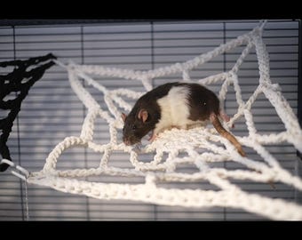 May include: A black and white rat is sitting in a white crocheted hammock shaped like a spider web. The hammock is hanging inside a cage.
