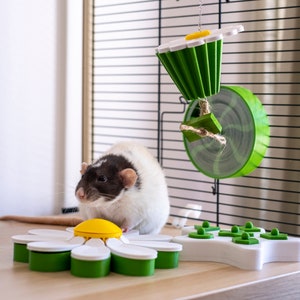 Op de afbeelding: Een zwart-witte rat verkent een wit, madeliefje-vormig speelgoed met groene bladeren. Het speelgoed heeft een gele kern en maakt deel uit van een set ratten speelgoed. De rat zit op een houten oppervlak.