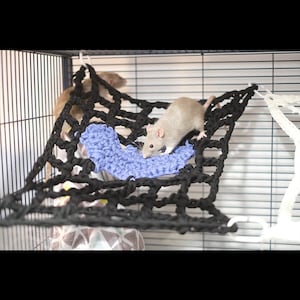 Könnte beinhalten: Ein schwarzes und blaues Hängematte für kleine Haustiere, wie Ratten, ist in einem Käfig aufgehängt. Eine graue Ratte klettert auf der Hängematte.