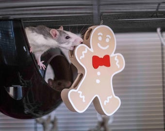 Peperkoekmannetje Zoekspel