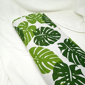 monstera thai constellation white snow Monstera Deliciosa Thai Constellation 'Green Snow' (wk23-C) – Rare Plant  Fairy