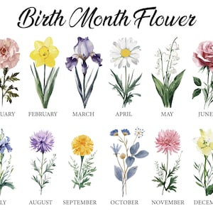 the birth month flowers
