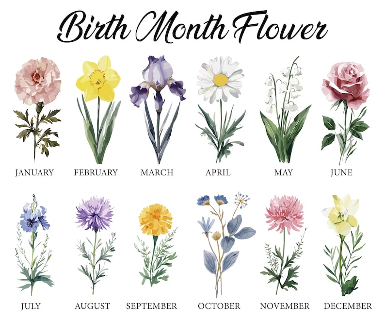 the birth month flowers