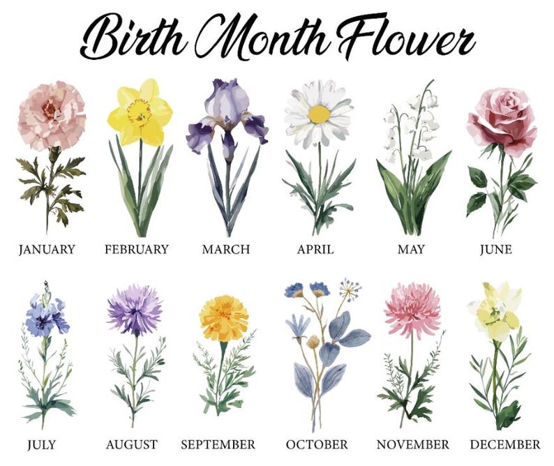 twelve different types of flowers, each representing a different month of the year.