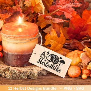 Igel Herbst T-Shirt Mit Kürbis Latte Design - Kawaii Langarmshirt