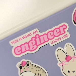 May include: A sticker with the text "THIS IS WHAT AN engineer LOOKS LIKE" in pink lettering. The sticker is on a purple surface, along with other stickers of a frog and a bunny wearing pink construction hats.