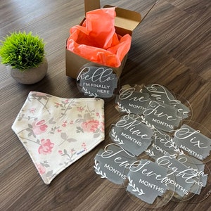baby milestone acrylic discs; first year, baby shower, baby gifts, photo props