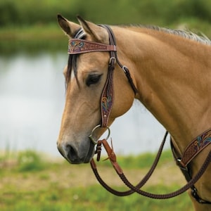 Klassy Cowgirl Argentina Cow Leather Louis Vuitton Headstall & Breast  Collar Set - Carolina Tack Supply Inc