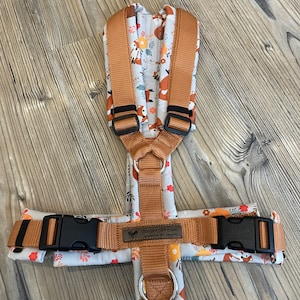 Y - Harness - Fox